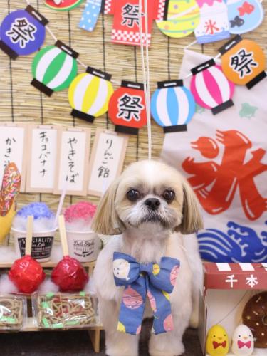 20240707ちょびくん